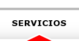 SERVICIOS